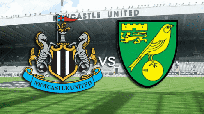 Soi kèo nhà cái Newcastle United vs Norwich City, 01/02/2020 - Ngoại Hạng Anh