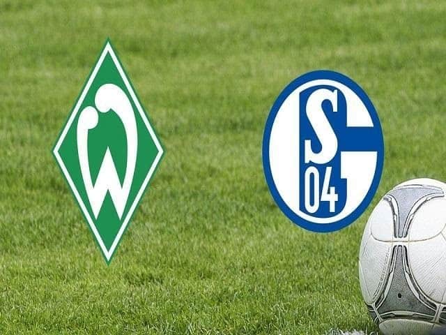 Soi keo nha cai Werder Bremen vs Schalke 04 30 01 2021 – VDQG Duc