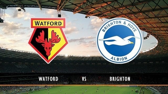 Soi kèo Brighton vs Watford, 21/08/2021 - Ngoại Hạng Anh