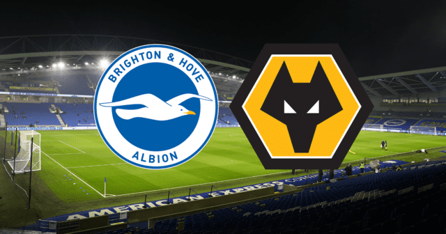 Soi kèo Brighton vs Wolves  – Giải vô địch Ngoại Hạng Anh