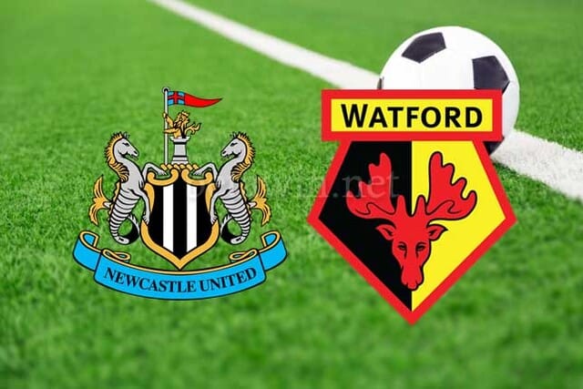 Soi kèo trận đấu Newcastle vs Watford, 22h00 15/01/2022 – Giải vô địch Ngoại hạng Anh