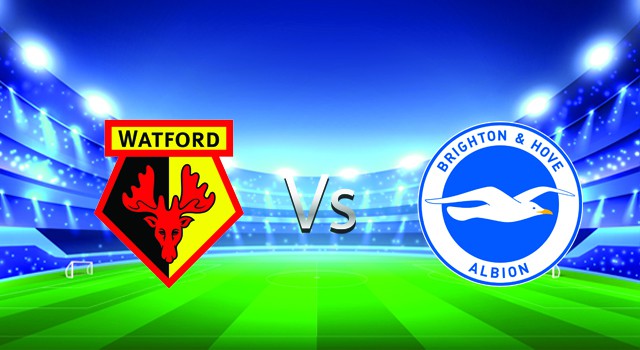 Soi kèo trận đấu Watford vs Brighton, 22h00 12/02/2022 – Giải bóng đá Ngoại hạng Anh