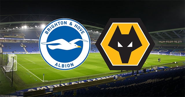 Soi kèo trận đấu Brighton vs Wolves, 29/04/2023 – Giải Ngoại Hạng Anh